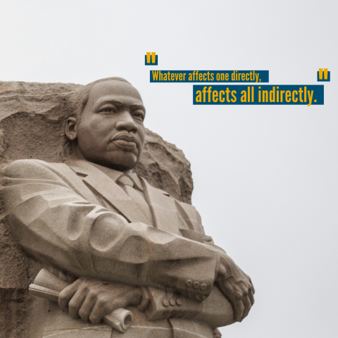A graphic quoting MLK: "Whatever effects one directly, affects all indirectly."