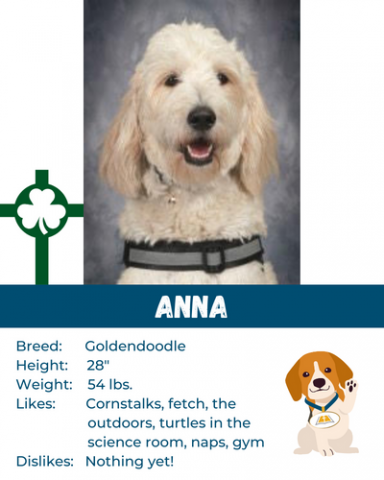 Dogs of Catholic Schools 3