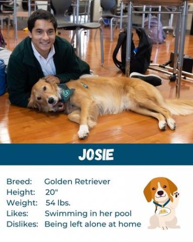 Dogs of Catholic Schools Josie WC